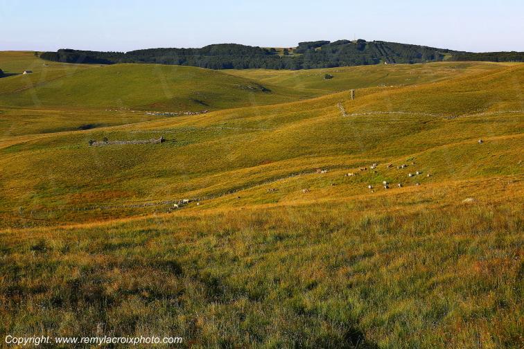 Col de la Matte Aubrac Cantal Auvergne Rh�ne-Alpes France www.remylacroixphoto.com