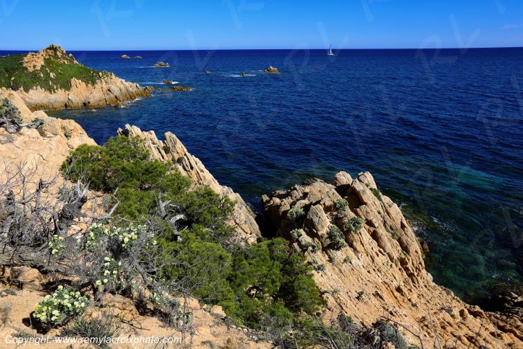 Cap Camarat Presqu'�le de Saint-Tropez C�te d'Azur Var France