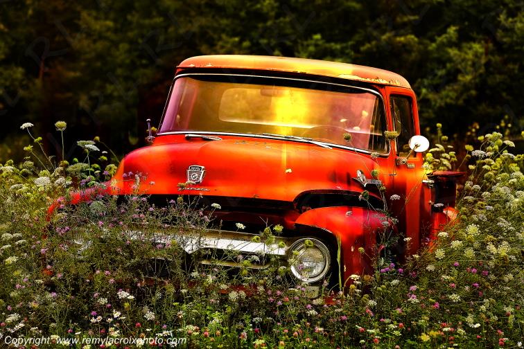 Ford F100 Pick-up Truck 1956 Fordmatic wreck Michigan USA www.remylacroixphoto.com