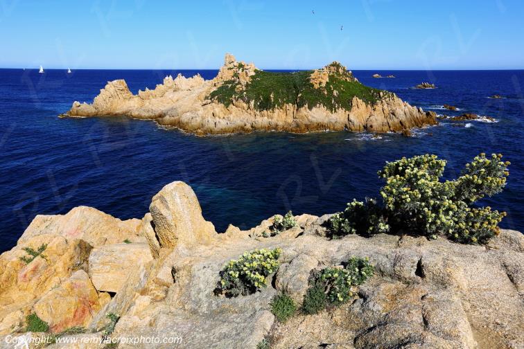 Cap Camarat Presqu'�le de Saint-Tropez C�te d'Azur Var France