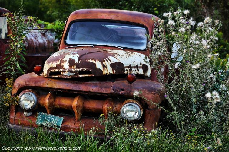 Ford Pick-up Truck 1952 wreck Wisconsin USA www.remylacroixphoto.com