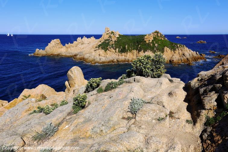 Cap Camarat Presqu'�le de Saint-Tropez Var Provence Alpes C�te d'Azur PACA France www.remylacroixphoto.com