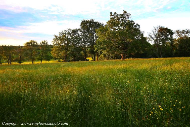 Tranzault Le Chassin Indre Berry Centre Val de Loire France www.remylacroixphoto.com