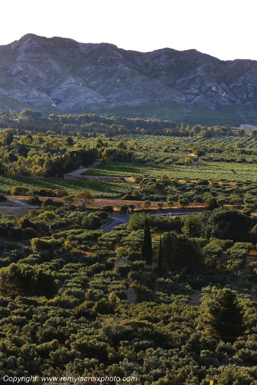 Les Baux de Provence Bouches du Rh�ne Provence Alpes C�te d'Azur France www.remylacroixphoto.com