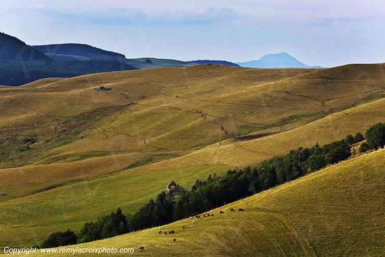 La Godivelle C�zallier Puy de D�me Auvergne Rh�ne-Alpes France www.remylacroixphoto.com