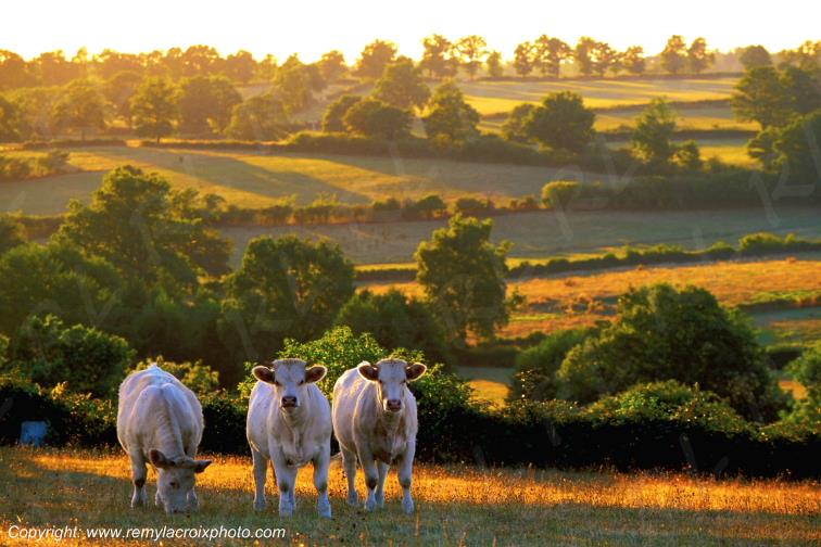 Saint Sornin Bocage Bourbonnais Allier Auvergne France