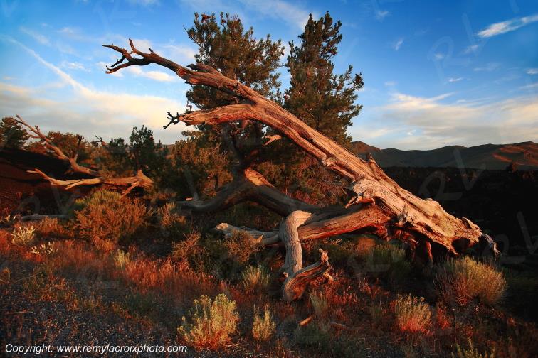 Crater of the Moon National Monument Idaho USA www.remylacroixphoto.com