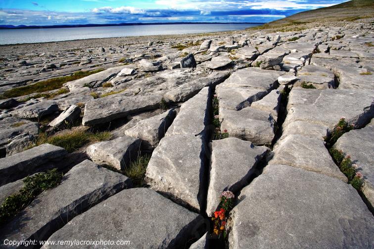 Burren Black Head Clare Irlande Ireland www.remylacroixphoto.com