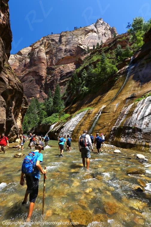 Riverside Walk Zion National Park Utah USA