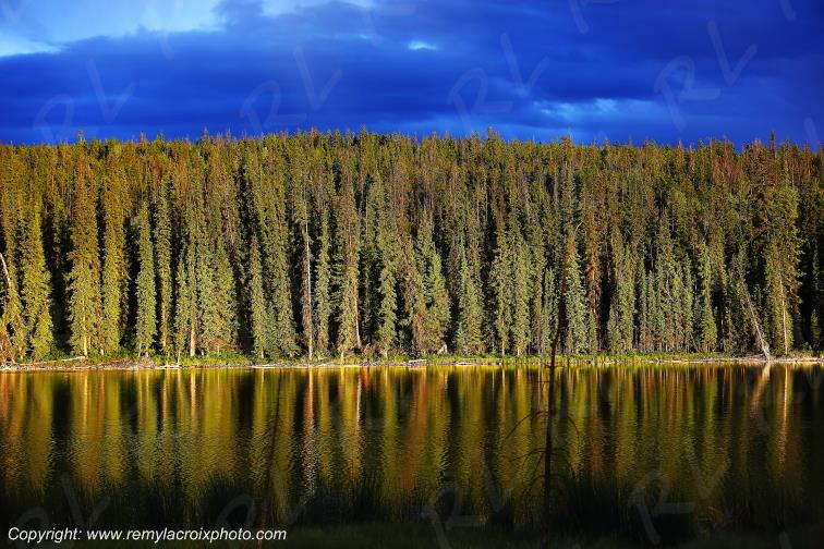 Eagle Lake British Columbia Canada www.remylacroixphoto.com #eagle #eaglelake #britishcolumbia #canada