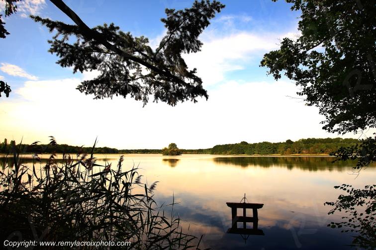 Sologne Etang Bezard Loir et Cher R�gion Centre Val de Loire France www.remylacroixphoto.com