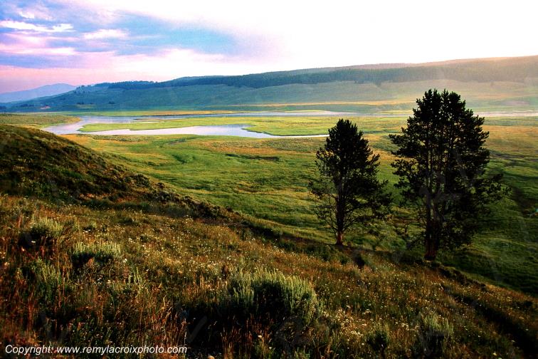 Hayden Walley Yellowstone National Park Wyoming USA www.remylacroixphoto.com
