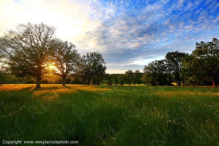 Tranzault Le Chassin Indre Berry Centre Val de Loire France www.remylacroixphoto.com