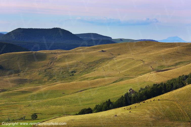 La Godivelle C�zallier Puy de D�me Auvergne Rh�ne-Alpes France www.remylacroixphoto.com