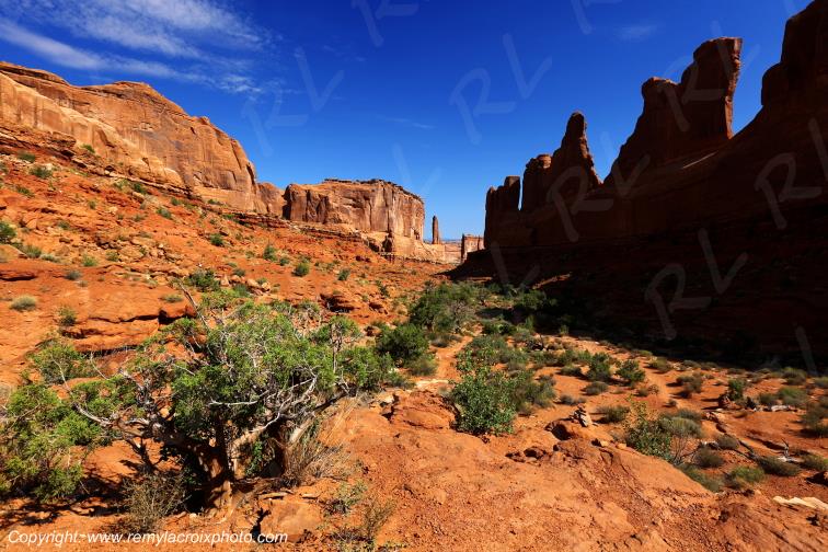 Park Avenue Arches National Park Utah USA