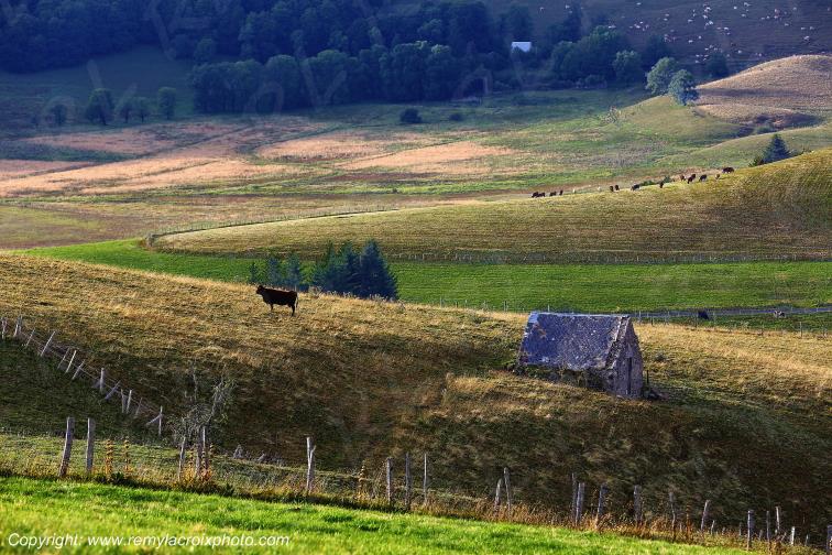 La Godivelle C�zallier Puy de D�me Auvergne Rh�ne-Alpes France www.remylacroixphoto.com