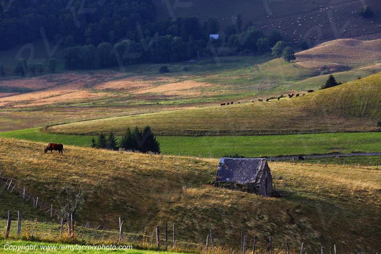 La Godivelle C�zallier Puy de D�me Auvergne Rh�ne-Alpes France www.remylacroixphoto.com