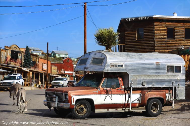 Oatman Wild Burros Route 66 Arizona USA www.remylacroixphoto.com