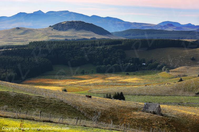 La Godivelle C�zallier Puy de D�me Auvergne Rh�ne-Alpes France www.remylacroixphoto.com
