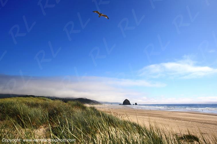 Cannon Beach Haystade Rock Pacific Oregon USA www.remylacroixphoto.com