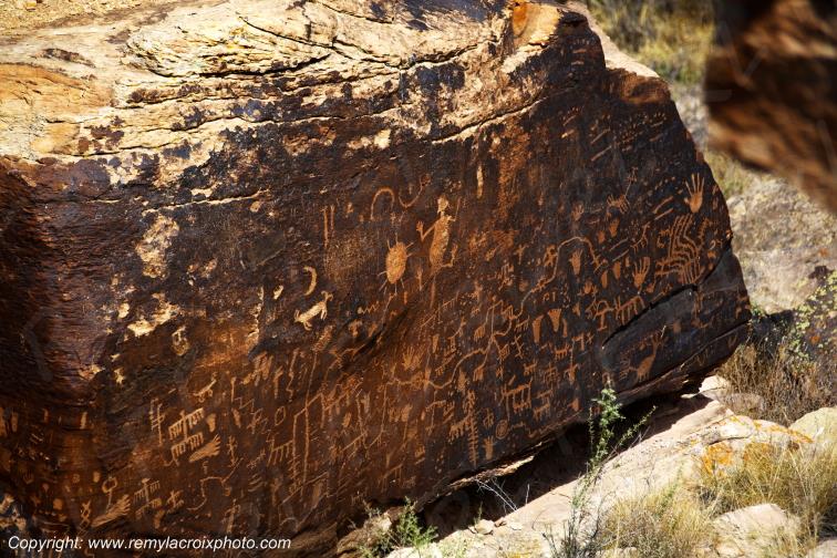 Newspaper Rock Petroglyphs Petrified Forest National Park Arizona USA Natives Indians www.remylacroixphoto.com