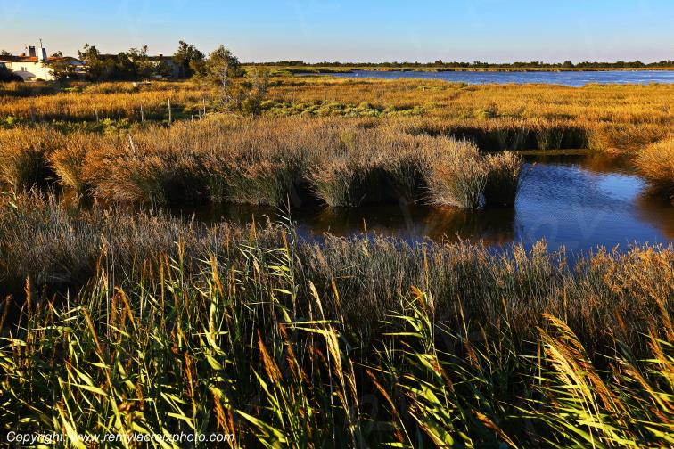 Port Saint Louis du Rh�ne Camargue Bouches du Rh�ne Provence Alpes C�te d'Azur France www.remylacroixphoto.com