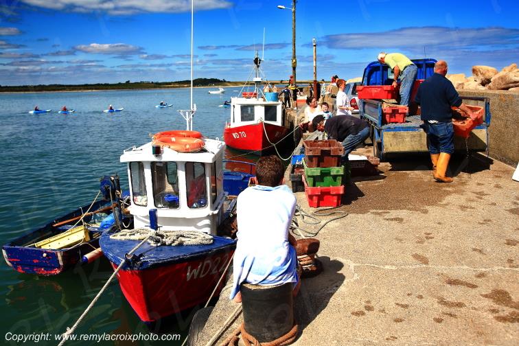 Carne Wexford Irlande Ireland www.remylacroixphoto.com