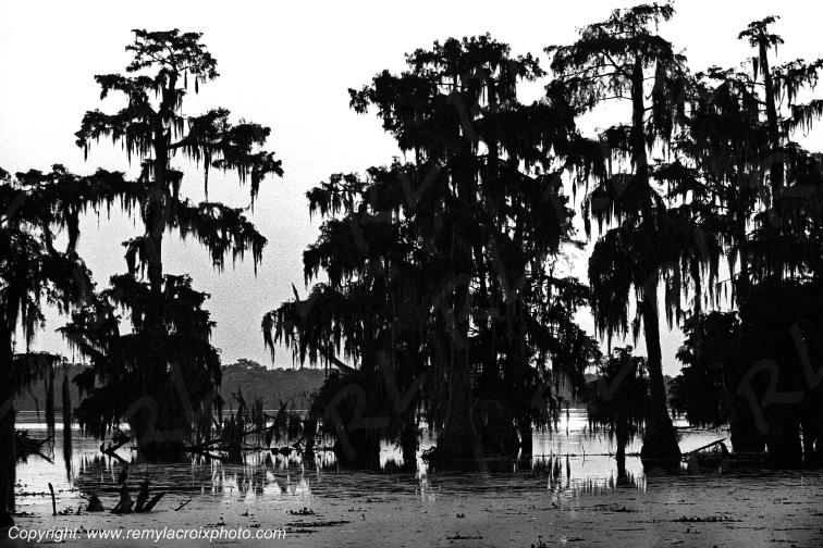 Mississippi River Delata Bayou Cypr�s Louisiane Louisiana USA www.remylacroixphoto.com