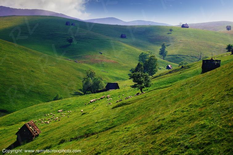 Paltinis Marginimea Sibiului Transylvania Transylvanie Romania Roumanie www.remylacroixphoto.com