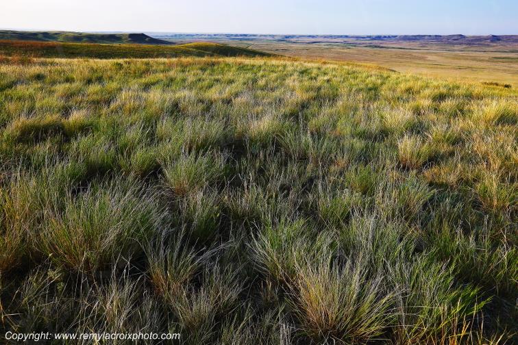 Grasslands National Park West Great Plains Grandes Plaines Saskatchewan Canada www.remylacroixphoto.com