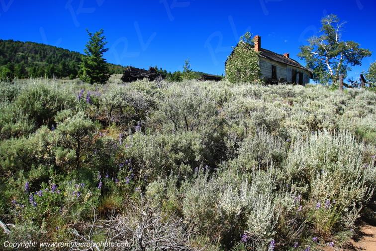 Comet Ghost Town Ville fant�me Comet Montana Rocky Mountains USA www.remylacroixphoto.com #montana #comet #ghosttown