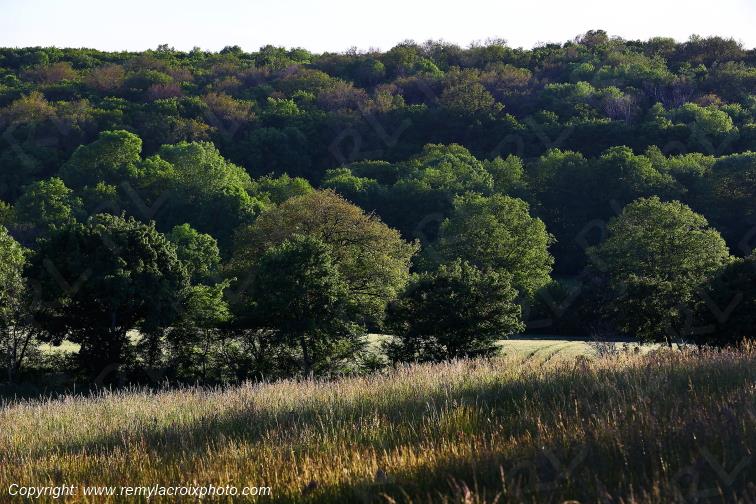 Tranzault Le Chassin Indre Berry Centre Val de Loire France www.remylacroixphoto.com