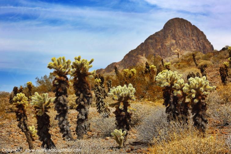 Mojave Desert Topock Route 66 Arizona USA www.remylacroixphoto.com