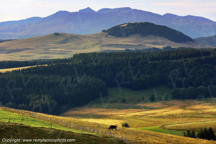 La Godivelle C�zallier Puy de D�me Auvergne Rh�ne-Alpes France www.remylacroixphoto.com