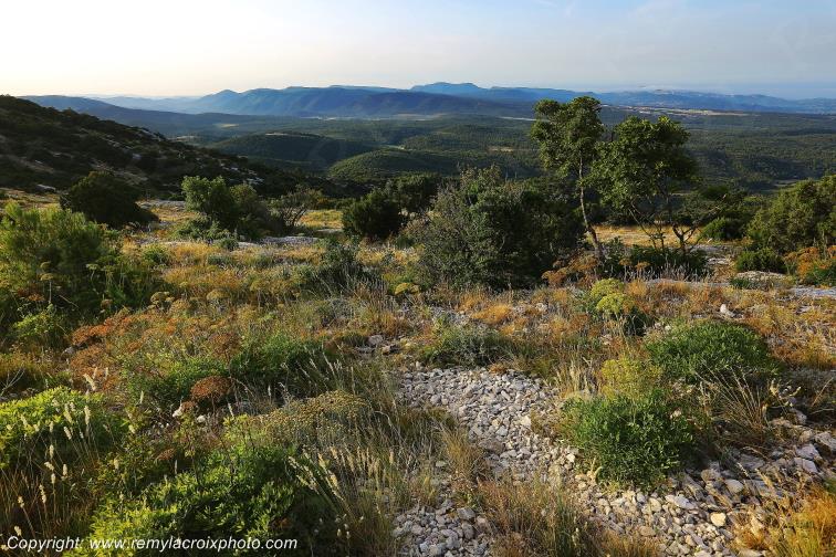 Massif de la Sainte Baume Var Provence Alpes C�te d'Azur PACA France www.remylacroixphoto.com