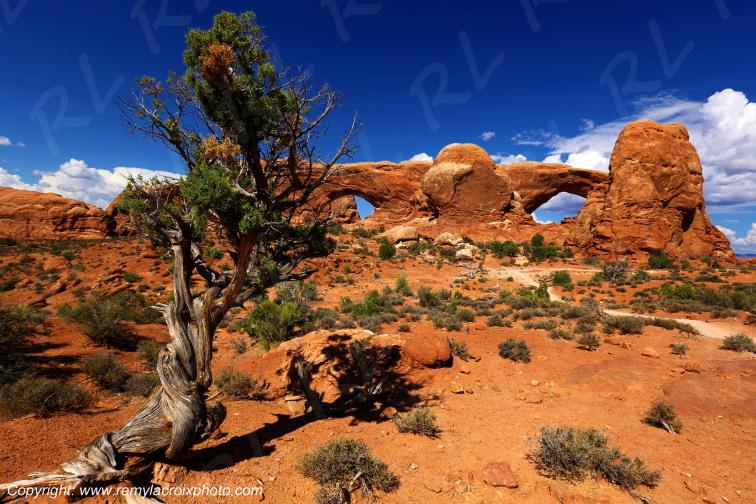 The Windows Arches Arches National Park Utah USA