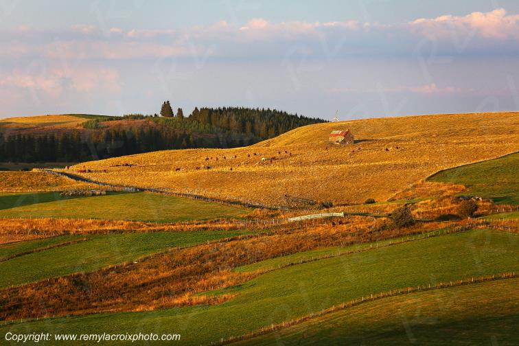 La Godivelle C�zallier Puy de D�me Auvergne Rh�ne-Alpes France www.remylacroixphoto.com