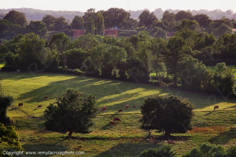 Tranzault Le Chassin Indre Berry Centre Val de Loire France www.remylacroixphoto.com
