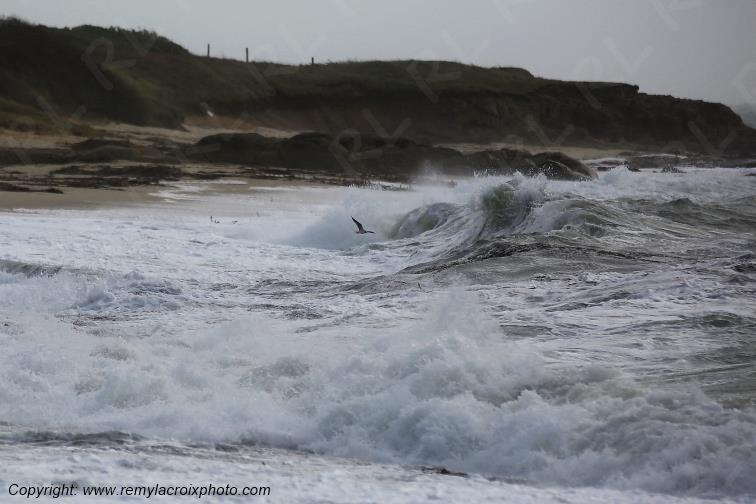 Plage de Pendruc pointe de la Jument Tr�gunc Finist�re Bretagne France www.remylacroixphoto.com