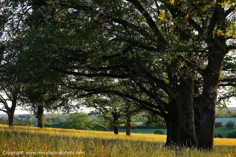 Tranzault Le Chassin Indre Berry Centre Val de Loire France www.remylacroixphoto.com