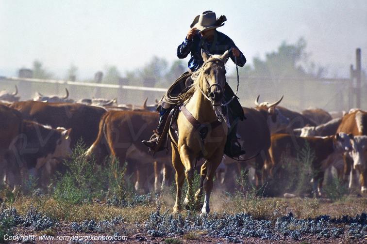 Big Bend Hughes Ranch rassemblement Texas USA www.remylacroixphoto.com