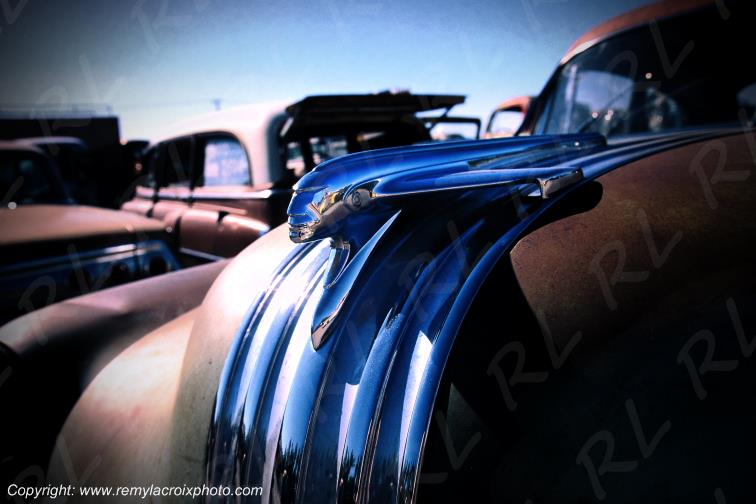 Pontiac Chieftain 1950 wreck Bozeman Montana USA Pontiac signs www.remylacroixphoto.com