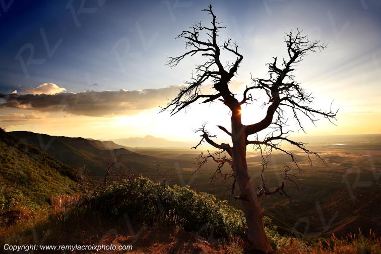 Mesa Verde National Park Colorado USA www.remylacroixphoto.com