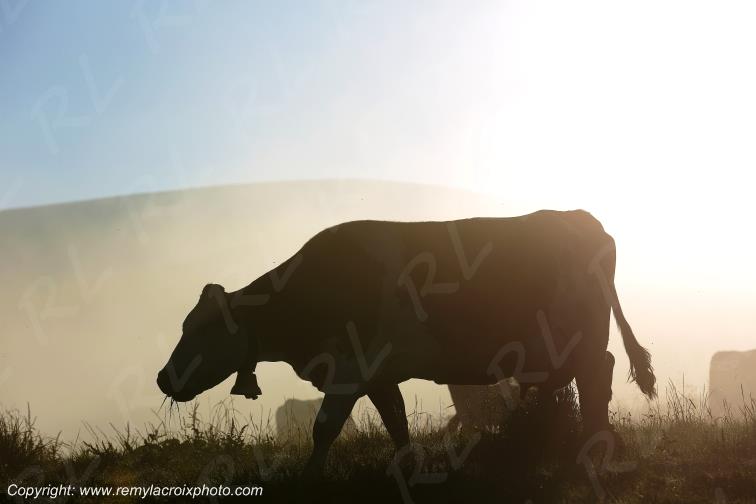 Col de Legal Cantal Auvergne Rh�ne-Alpes France www.remylacroixphoto.com