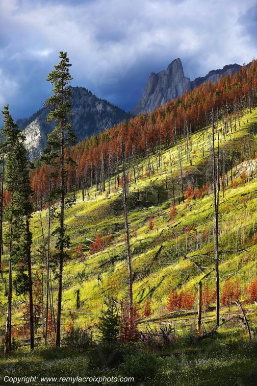 Bow Valley Road Banff National Park Alberta Canada www.remylacroixphoto.com