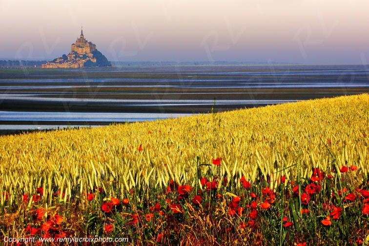 Mont Saint Michel Grouin du Sud Manche Normandie France www.remylacroixphoto.com