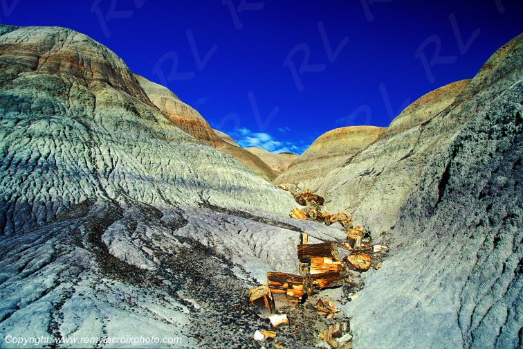 Petrified Forest National Park Blue Mesa Arizona USA