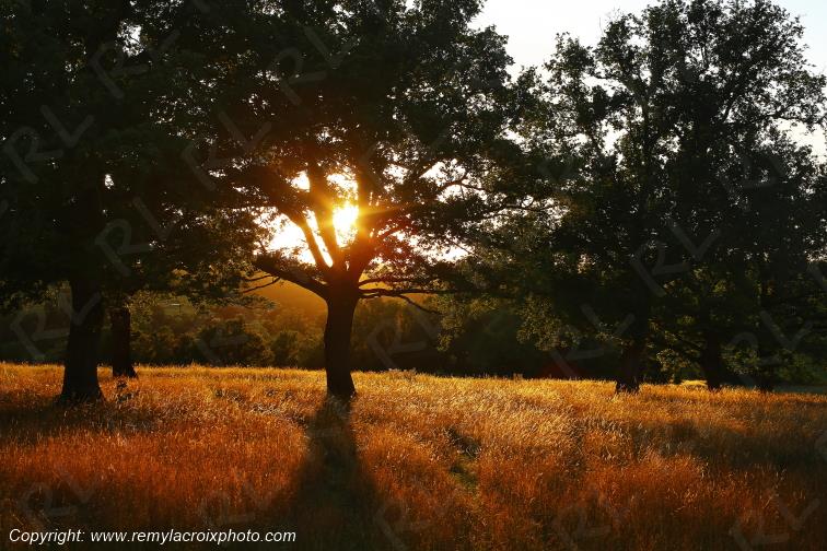 Tranzault Le Chassin Indre Berry Centre Val de Loire France www.remylacroixphoto.com