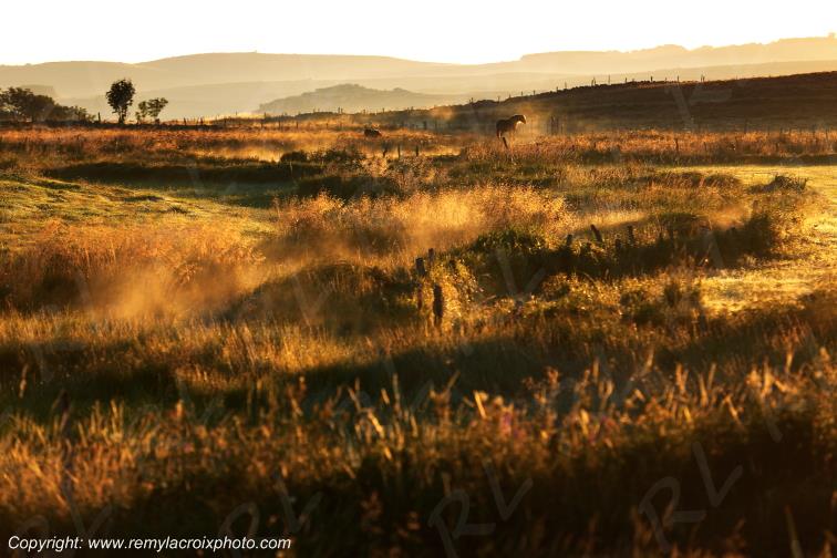 Nasbinals Aubrac Loz�re Languedoc-Roussillon Occitanie France www.remylacroixphoto.com