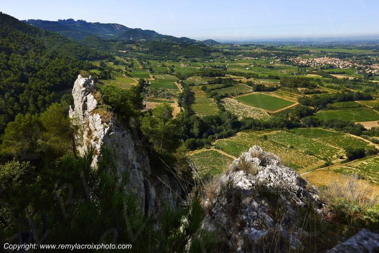 Sablet Vignoble Vaucluse Provence Alpes C�te d'Azur PACA France www.remylacroixphoto.com